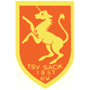 Wappen / Logo des Teams TSV Sack / SF Grogrndlach