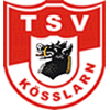 Wappen / Logo des Teams TSV Ksslarn