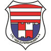 Wappen / Logo des Teams 1. FC 1928 Elfershausen