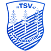Wappen / Logo des Teams TSV Pfndhausen 2