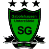 Wappen / Logo des Teams ASV AlslebenEyershausen SG Gabolshausen - Unterefeld