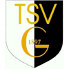 Wappen / Logo des Teams TSV Grafenrheinfeld/DJK Schweinfurt