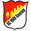 Wappen / Logo des Teams SC Geusfeld 2 /Spvgg Untersteinbach 2