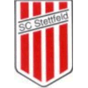 Wappen / Logo des Teams SC Stettfeld