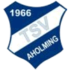 Wappen / Logo des Teams TSV Aholming