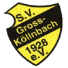 Wappen / Logo des Teams SV Grokllnbach