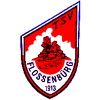 Wappen / Logo des Vereins TSV Flossenbrg