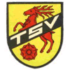 Wappen / Logo des Teams SG TSV Kmmersbruck 2 /TSV Theuern 2