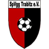 Wappen / Logo des Teams SpVgg Trabitz