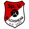 Wappen / Logo des Teams SV 1920 Gelchsheim