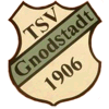 Wappen / Logo des Vereins TSV 1906 Gnodstadt