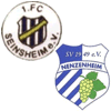 Wappen / Logo des Teams SG Seinsheim/Nenzenheim
