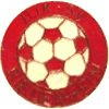 Wappen / Logo des Teams DJK-SV Riedenheim