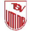 Wappen / Logo des Teams TSV Utting a. Ammersee