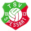 Wappen / Logo des Teams TSV Spessart 2