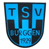 Wappen / Logo des Teams TSV Burggen 2