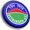 Wappen / Logo des Teams TSV 1913 Ettringen