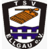 Wappen / Logo des Teams TSV Ellgau