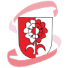 Wappen / Logo des Teams TSV Steppach