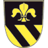 Wappen / Logo des Teams Hainhofener SV