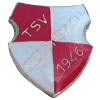 Wappen / Logo des Teams TSV Sielenbach