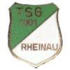 Wappen / Logo des Vereins TSG Rheinau