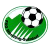 Wappen / Logo des Teams FSG Mndling-Sulzdorf