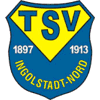 Wappen / Logo des Vereins TSV Ingolstadt-Nord
