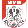 Wappen / Logo des Teams SV Bergfeld Mosbach