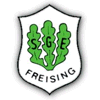 Wappen / Logo des Teams SG Eichenfeld 3
