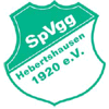 Wappen / Logo des Teams SpVgg Hebertshausen 2