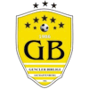 Wappen / Logo des Teams SV Gencler Birligi II