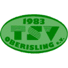 Wappen / Logo des Teams TSV Oberisling Rgbg 2
