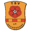 Wappen / Logo des Vereins TSV Hechendorf