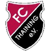 Wappen / Logo des Vereins FC Thaining