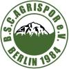 Wappen / Logo des Vereins BSC Agrispor