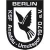 Wappen / Logo des Teams Anadoluspor Berlin