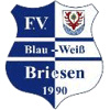 Wappen / Logo des Teams FV Blau Wei 90 Briesen