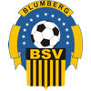 Wappen / Logo des Vereins BSV Blumberg