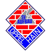 Wappen / Logo des Teams SV Aufbau Oppelhain