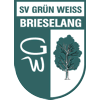 Wappen / Logo des Vereins SV Grn-Weiss Brieselang