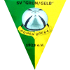Wappen / Logo des Teams Hohenbockaer SV Grn Gelb 1923