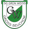 Wappen / Logo des Teams SG Grn-Wei Gro Beuchow