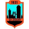 Wappen / Logo des Teams SV Ziesar 31 2