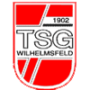 Wappen / Logo des Teams TSG Wilhelmsfeld 2