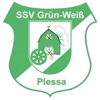 Wappen / Logo des Teams SSV Grn-Wei Plessa