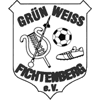 Wappen / Logo des Teams MSV Grn-Wei Fichtenberg
