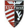 Wappen / Logo des Teams ESV Forst 1990