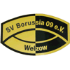 Wappen / Logo des Teams Welzower SV Borussia 09