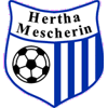 Wappen / Logo des Teams Mescherin
